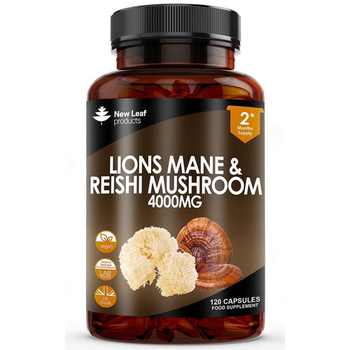Lions mane reishi mushroom - mane, &