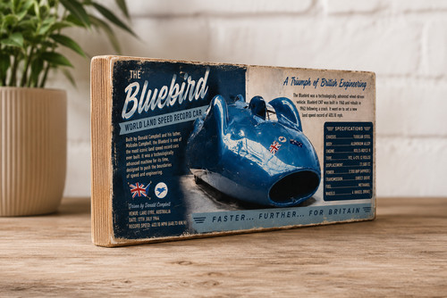 Bluebird world land speed
