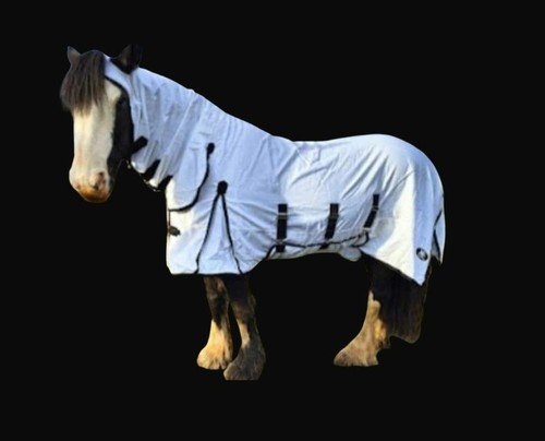 Sweet itch rug fly - /,