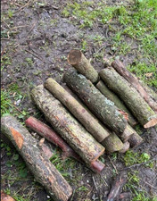 Woodturning blank Cherry wood