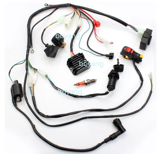 Wiring harness cdi ignition - harness,