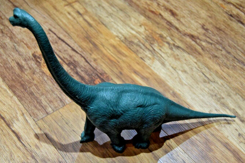 Vintage natural history - history, museum