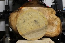 12x 3 ½ Green Oak Bowl Blank