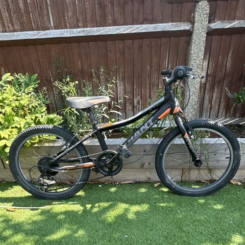 Giant black mountain 20inbike - black,