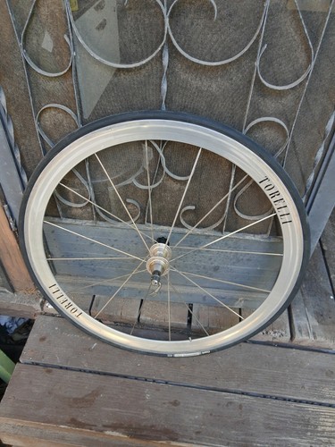 Shamal torelli rim - torelli,