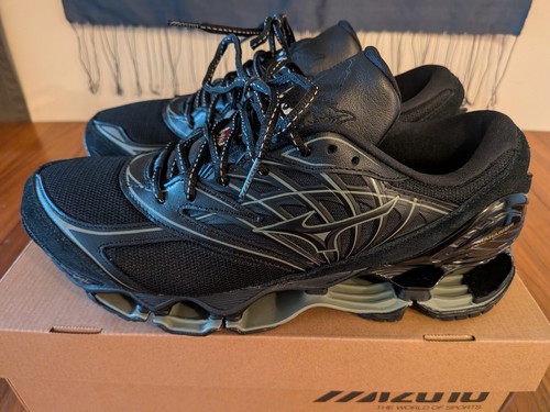 Mizuno wave prophecy - mizuno,