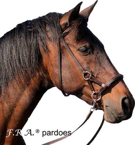 Pardoes side pull - f.r.a.,