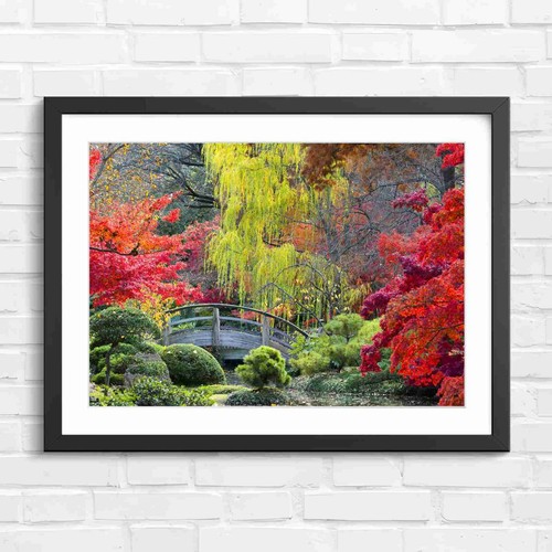 Autumn japanese garden bridge - japanese,