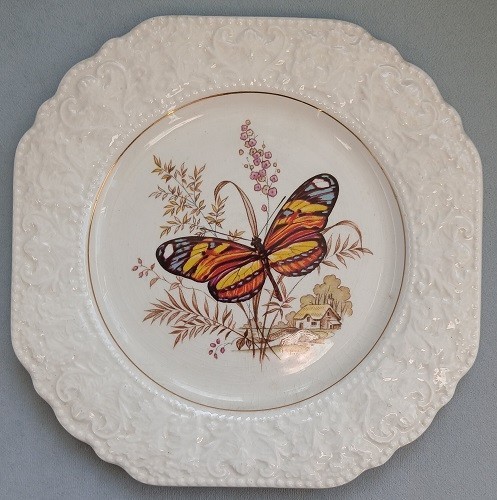 Lord nelson butterfly - 'butterfly', wall