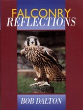 Bob Dalton: Falconry
