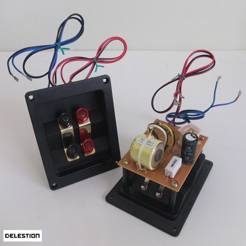 Pair celestion wire amp - pair,