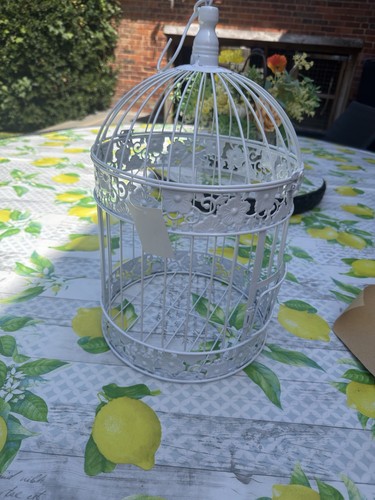 Decorative bird cage - bird,
