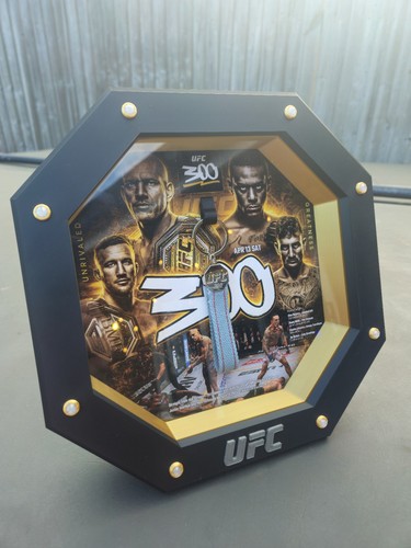 Ufc 300 authentic octagon - 300,