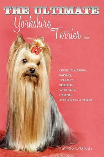 Ultimate yorkshire terrier - yorkshire,