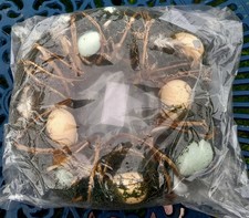Gisela Graham Egg/Easter Table/Door Wreath Decoration *Please Read Description*