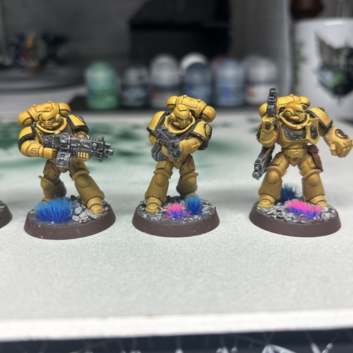 Imperial fists intercessors - imperial,