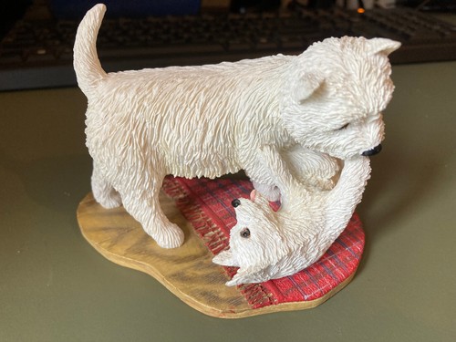 Westie pup licking adult - westie,