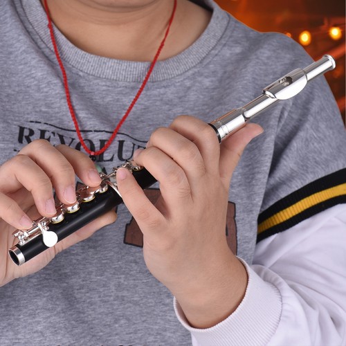 Piccolo instrument abs - piccolo,