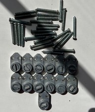 13x ASSA Scandinavian Oval