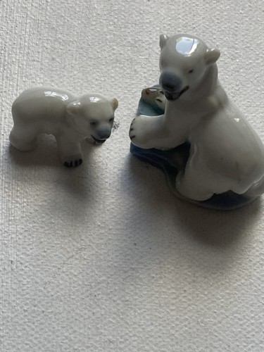 Polar bear and - polar,