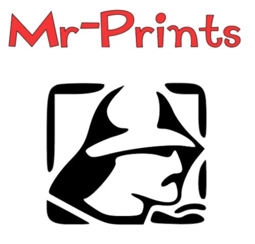 Mariner outboard engine decal