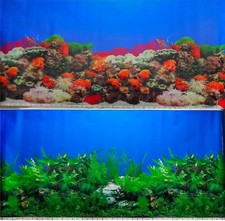 Aquarium Fish Tank Background