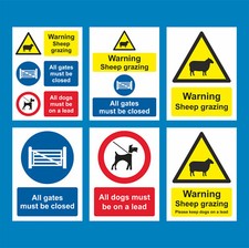 Sheep Grazing All Gates Must