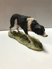 A BORDER FINE ARTS COLLIE DOG