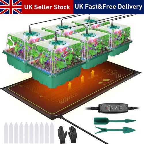 Pack seed starter trays - 6/5,