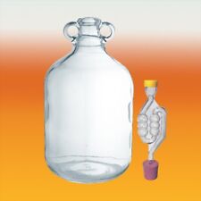Single Clear Glass Demijohn