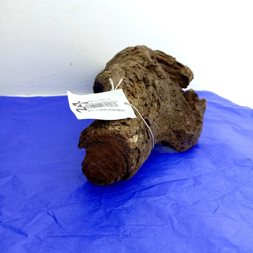 Nansei bogwood root wood - nansei,