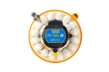 Brinsea Maxi 24 Advance Egg