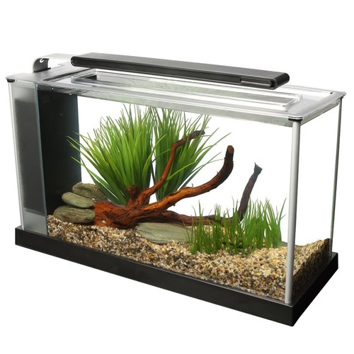 Fluval spec aquarium 10l - /, 19l