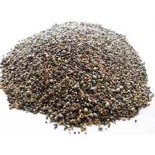 Canary Mix - High Energy Bird Food Mixture 100g 500g 1kg 2kg 5kg 10kg 15kg 20kg