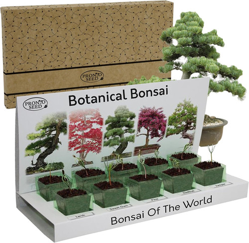 Bonsai tree kit - bonsai, kit: