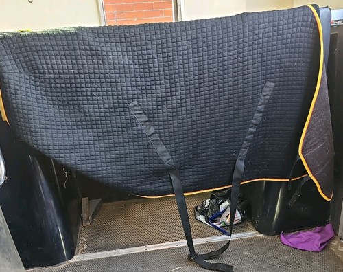Thermatex 2000 rug - thermatex,