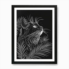 Maine Coon Cat Minimalist