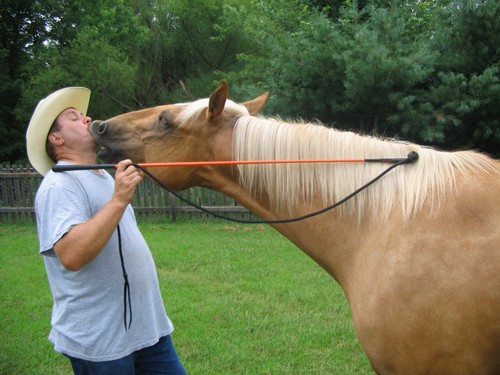 Thomey equine handy carrot - handy,