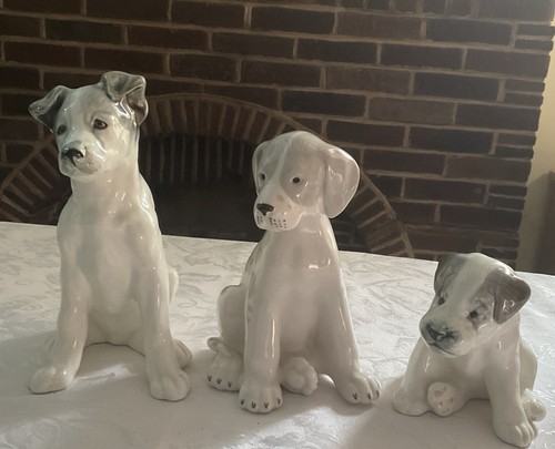 Three russian puppy - three,