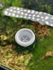 FLOATING Fish Feeder Aquarium