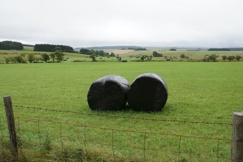 Photo silage bales - photo,