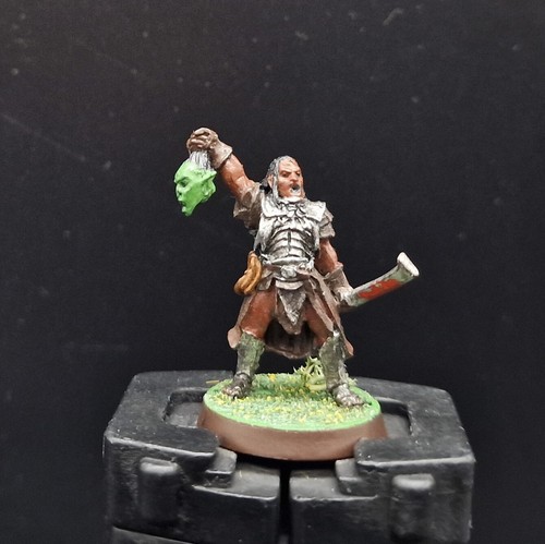 Well painted warhammer lotr - well,