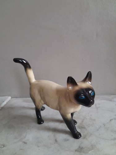 Vintage siamese cat beige - cat, blue