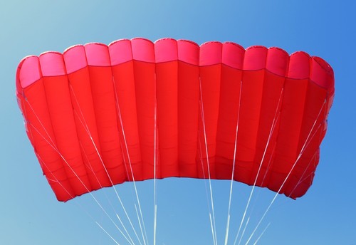 Cricket 145 skydiving - cricket,