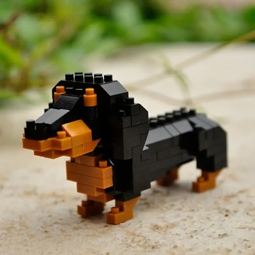 Very cute dachshund - very, sausage