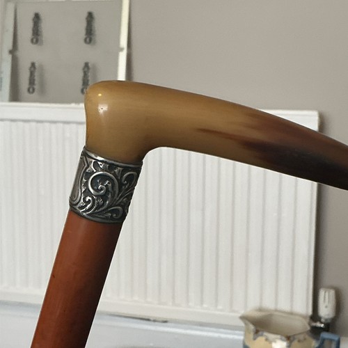 Victorian bovine horn - victorian, h/m