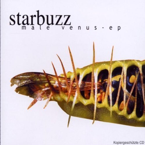 Starbuzz single male - |, single-cd