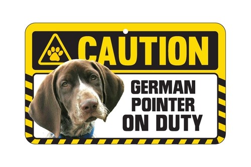 Dog sign caution beware - beware,