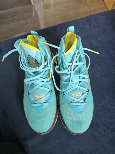 Nike lebron men s - nike, men's