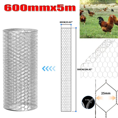 Wire mesh chicken - mesh,